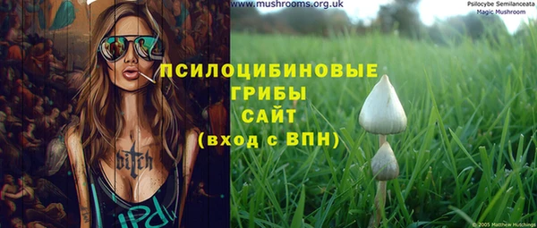 героин Алзамай