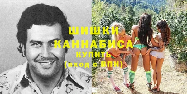 apvp Алексин