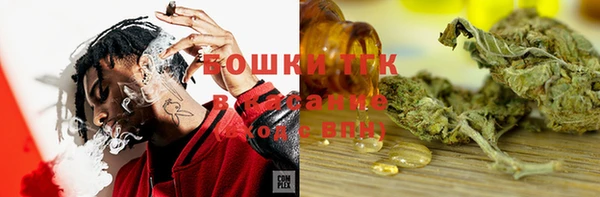 apvp Алексин