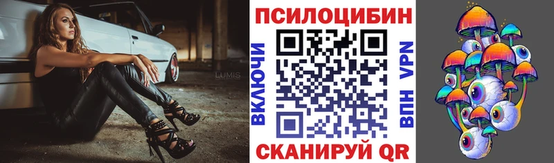Псилоцибиновые грибы мухоморы  блэк спрут как зайти  Менделеевск 