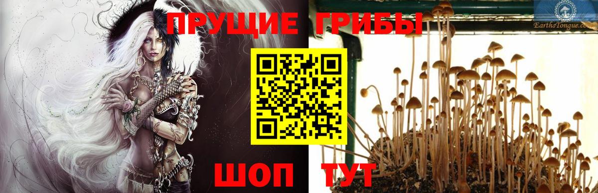 Меф МЯУ МЯУ   Менделеевск  Бошки Шишки  Вход с VPN  Конопля  ГАШ  Cocaine  Амфетамин кристаллы 