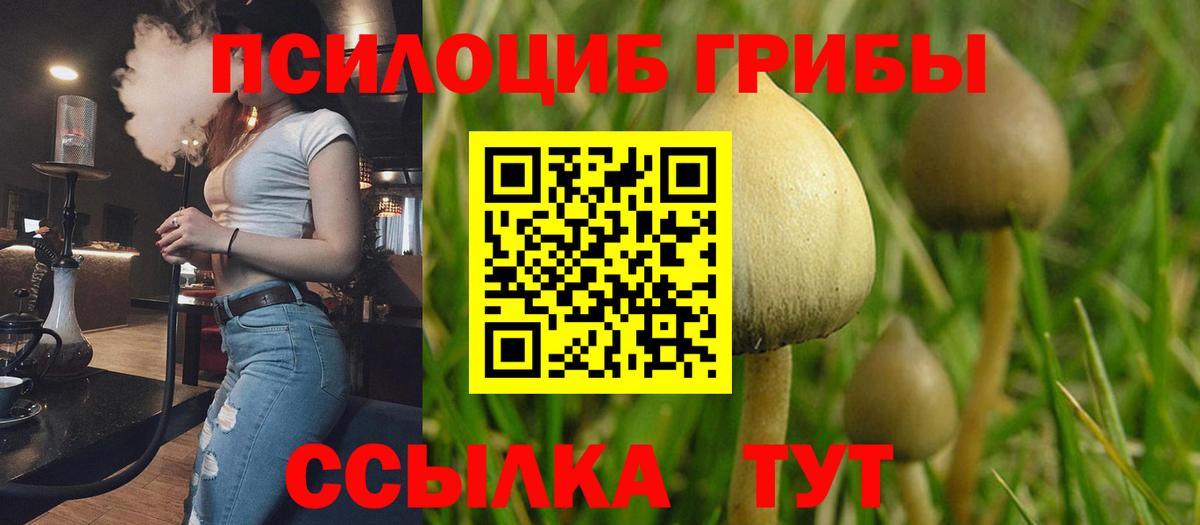 дарнет шоп  Псилоцибиновые грибы Psilocybine cubensis  Вход с VPN  Менделеевск  Псилоцибиновые грибы Psilocybe 